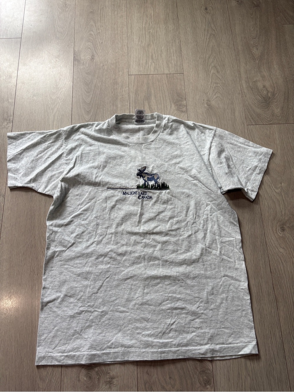 Fruit of the Loom Light Gray Men's Graphic Tee with Moose